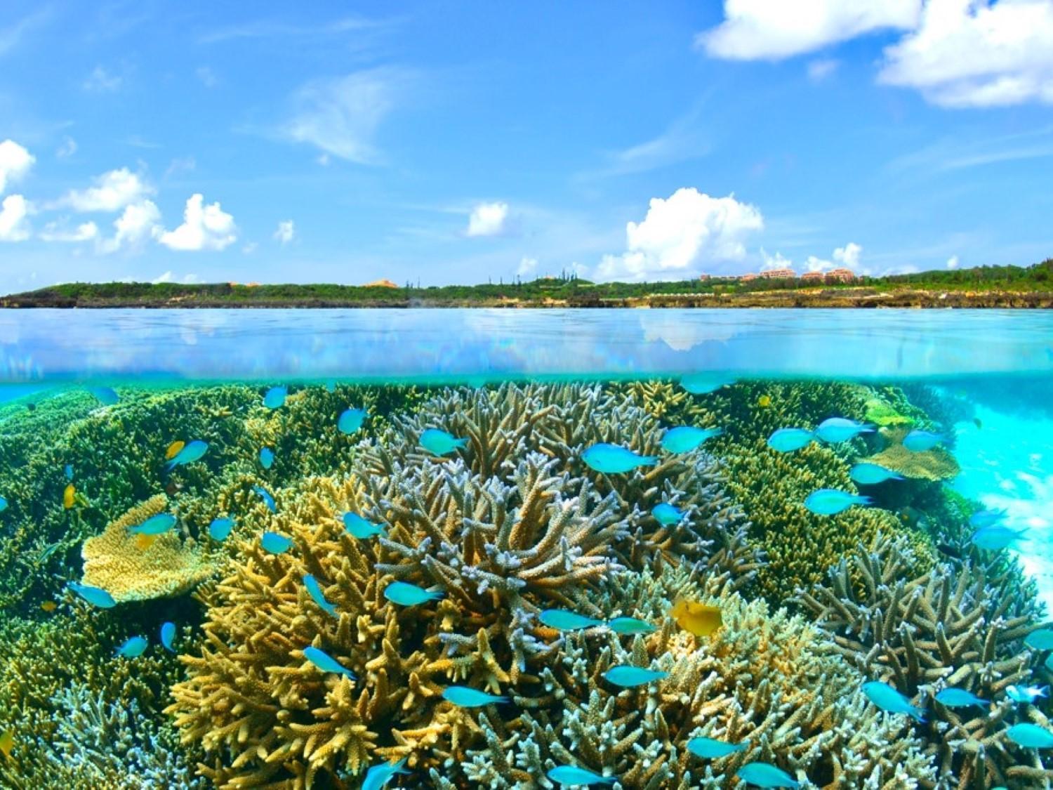 Hotel Shigira Mirage Miyakojima  Zewnętrze zdjęcie